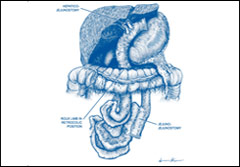 Pancreatic Surgery